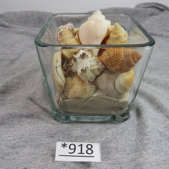 REAL Sea Shells in a Glass Square Vase and sand - Picture 1 of 6